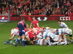 SX10816 Scrum Wales vs. Argentina.jpg